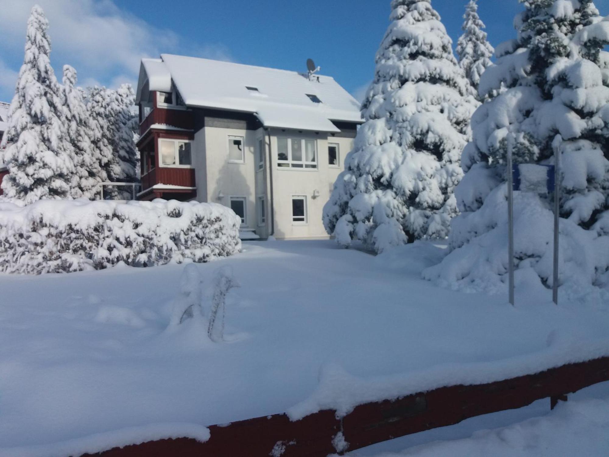 Ferienwohnung Sonnenblume Hohegeiß 외부 사진