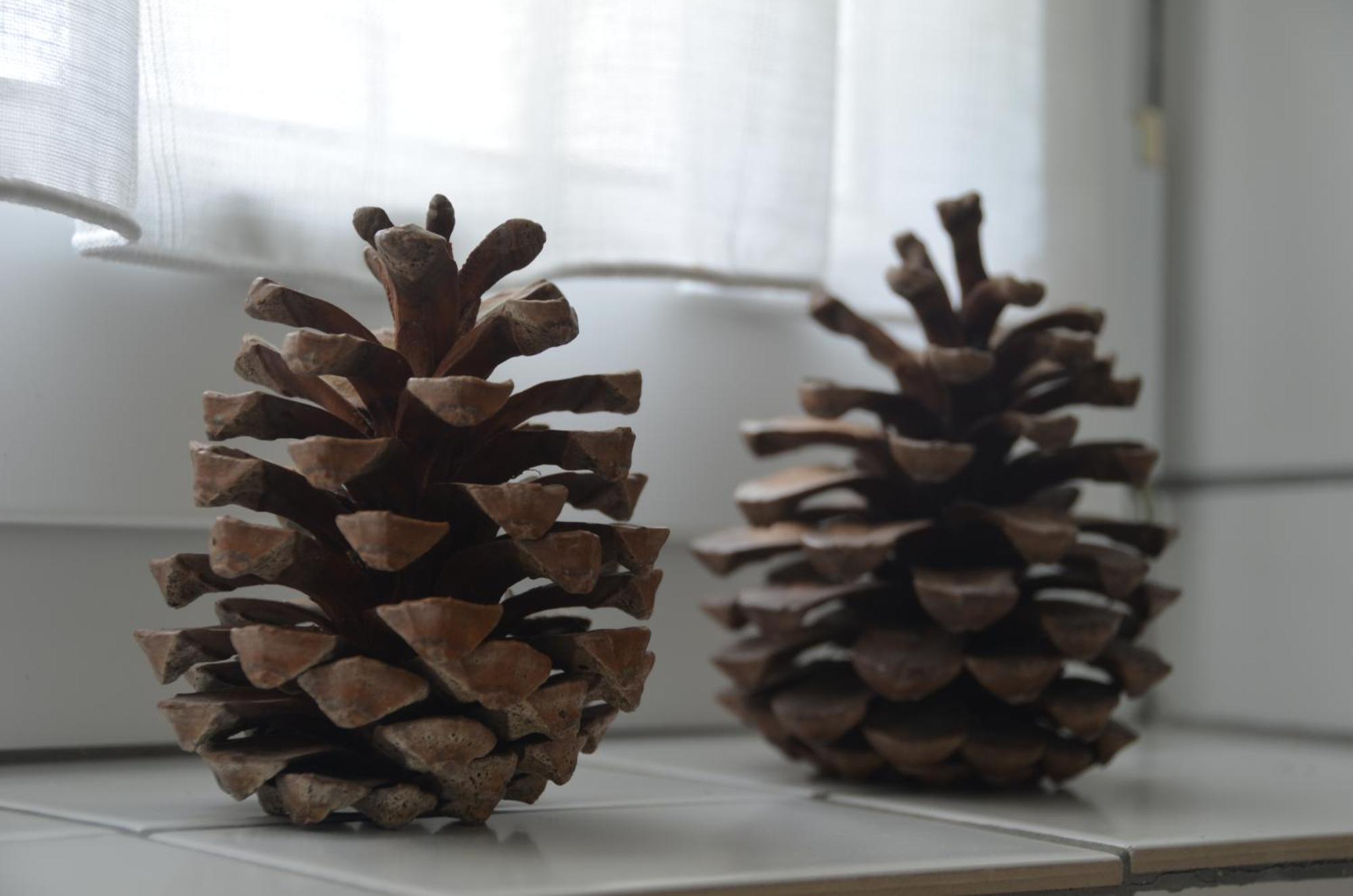 Ferienwohnung Sonnenblume Hohegeiß 외부 사진